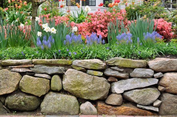 Stone Wall Hardscaping in Greeley