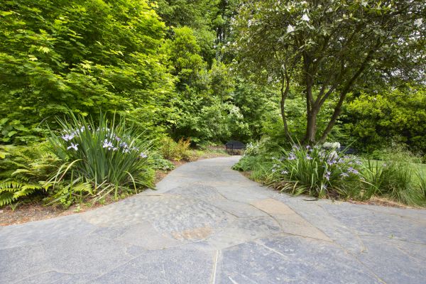 Stone Hardscape Service in Greeley